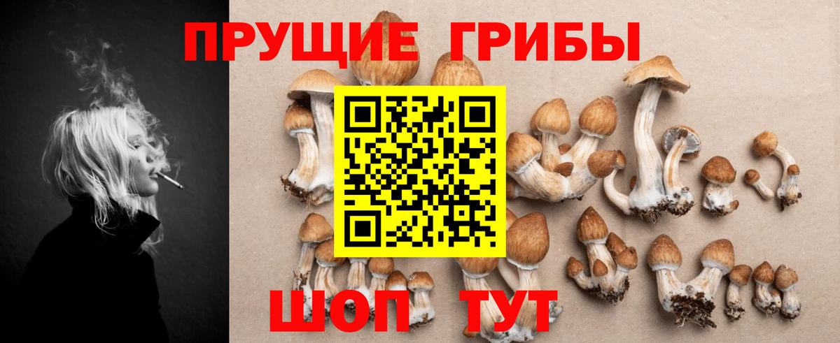 Галлюциногенные грибы GOLDEN TEACHER  Вход с VPN  Галлюциногенные грибы ЛСД  Ревда 